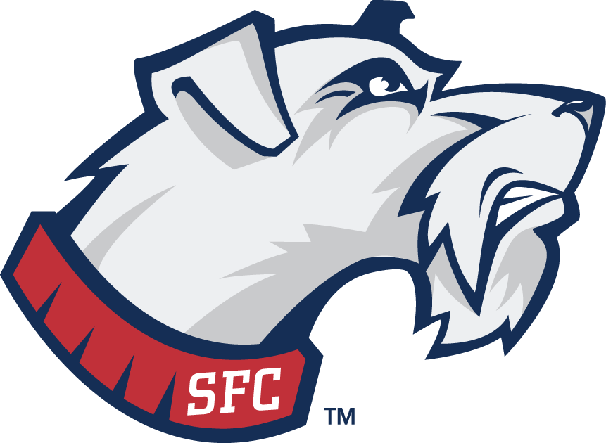St. Francis Terriers 2001-2013 Secondary Logo diy fabric transfers